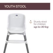 Scaun de masa Chicco evolutiv 3 in 1 Polly Zest, Moon Grey (Gri), 6luni+ CHC8717077-8