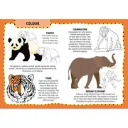 Primul set de arta & lucru manual - animalute