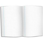 CAIET Matematica Traditional NumLit Mate-T BBJMate-T_Initiala