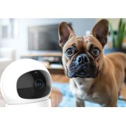 Neno orso – camera video profesionala wi-fi cu conectare pe telefon nen-mam-nn011