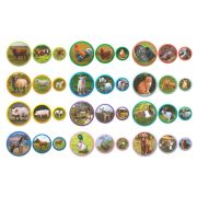Set magneti montessori - animale de la ferma