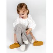 Erda camel