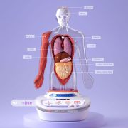 Descopera corpul uman - enciclopedie interactiva steam