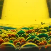 Super laboratorul experimentelor cu bule