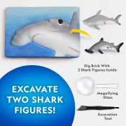 National Geographic - Set educativ Expeditie submarina descoperirea rechinilor ARTNG23692