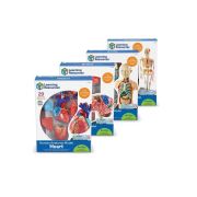 Set machete - anatomie