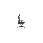 Scaun birou ergonomic OFF987, mesh, mecanism a-sincron, cotiere reglabile, 110 kg, negru DRM10648