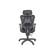 Scaun birou egonomic HM Ramos, mesh, mecanism multiblock, baza polipropilena, suport lombar reglabil, cotiere ajustabile, 120 kg, negru DRM10651