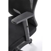 Scaun birou egonomic HM Ramos, mesh, mecanism multiblock, baza polipropilena, suport lombar reglabil, cotiere ajustabile, 120 kg, negru DRM10651