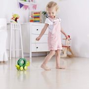 HAPE BROSCUTA PLIMBAREATA - TITO VIVHapeE0354