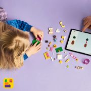LEGO FRIENDS LOC DE JOACA PENTRU CATELUSI 42665 VIVLEGO42665