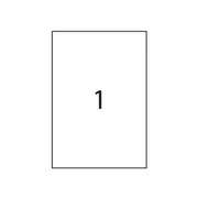 Etichete autoadezive RTC, A4, 210 x 297 mm, 100 bucati, 100 coli/top BPTCRH1000