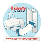 Biblioraft Esselte No.1 Power, PP/PP, A4, 50 mm, visiniu BPTCSL1209