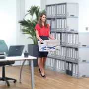 Cutie depozitare Fellowes, Basic, inalta, 420x340x330 mm BPTCFW461001