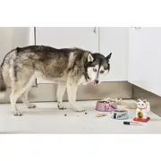 Marker permanent Edding 500, negru, corp aluminiu, varf retezat, 2-7 mm, negru BPTCED5001