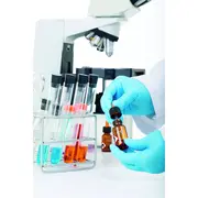 Marker permanent Edding 751 cu vopsea, corp metalic, varf rotund, 1-2 mm, verde BPTCED751004