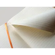 Notebook  A4+ Rhodiarama, 80 file, ivory dictando, maro BPTCCF1177037