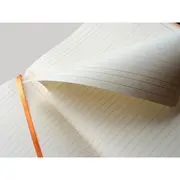 Notebook  A4+ Rhodiarama, 80 file, ivory dictando, roze BPTCCF1177129