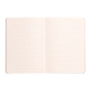 Notebook A5 Rhodiarama, 80 file, ivory, dictando, argintiu BPTCCF1174012
