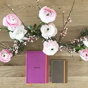 Notebook A5 Rhodiarama, 80 file, ivory, dictando, lila BPTCCF1174111