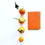 Notebook A5 Rhodiarama, 80 file, ivory, dictando, portocaliu BPTCCF1174159