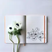 Notebook A5 Rhodiarama, 80 file, ivory, dictando, rosu BPTCCF1174135