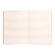 Notebook A5 Rhodiarama, 80 file, ivory, dictando, safir BPTCCF1174081