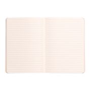 Notebook A5 Rhodiarama, 80 file, ivory, dictando, turcoaz BPTCCF1174074