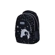 Ghiozdan scolar Astra Head, 3 compartimente, colectia Silver Dream BPTCAZ023080