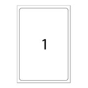 Etichete A-series, 210 mm x 297 mm, 100 coli/top BPTCAY000100