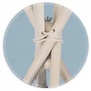Stabilizator pentru corturi de joaca nukido 741020 edeedi741020