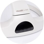 Leagan electric Chipolino E-sway biscotta HUBSHEES2501BI