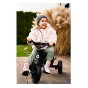 Tricicleta copii, Lionelo, Haari, Ultrapliabila, Multifunctionala, Suport picioare, Control al directiei, Scaun reversibil, Rotire 360 grade, Conform cu standardul european de securitate EN71, Albastru BYNLO-HAARI_BLUE_NAVY