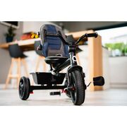 Tricicleta copii, Lionelo, Haari, Ultrapliabila, Multifunctionala, Suport picioare, Control al directiei, Scaun reversibil, Rotire 360 grade, Conform cu standardul european de securitate EN71, Bubblegum BYNLO-HAARI_BUBBLEGUM