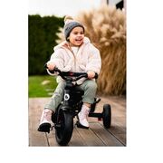 Tricicleta copii, Lionelo, Haari, Ultrapliabila, Multifunctionala, Suport picioare, Control al directiei, Scaun reversibil, Rotire 360 grade, Conform cu standardul european de securitate EN71, Gri BYNLO-HAARI_STONE_GREY