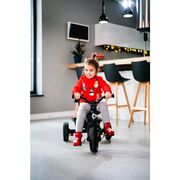 Tricicleta copii, Lionelo, Haari, Ultrapliabila, Multifunctionala, Suport picioare, Control al directiei, Scaun reversibil, Rotire 360 grade, Conform cu standardul european de securitate EN71, Verde BYNLO-HAARI_GREEN_EMERALD