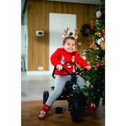 Tricicleta copii, Lionelo, Haari, Ultrapliabila, Multifunctionala, Suport picioare, Control al directiei, Scaun reversibil, Rotire 360 grade, Conform cu standardul european de securitate EN71, Verde BYNLO-HAARI_GREEN_EMERALD