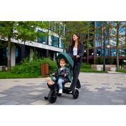 Tricicleta copii, Lionelo, Haari, Ultrapliabila, Multifunctionala, Suport picioare, Control al directiei, Scaun reversibil, Rotire 360 grade, Conform cu standardul european de securitate EN71, Verde BYNLO-HAARI_GREEN_EMERALD