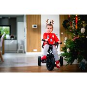 Tricicleta copii, Lionelo, Haari, Ultrapliabila, Multifunctionala, Suport picioare, Control al directiei, Scaun reversibil, Rotire 360 grade, Conform cu standardul european de securitate EN71, Verde BYNLO-HAARI_GREEN_EMERALD