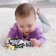 FISHER PRICE JUCARIE SENZORIALA 2 IN 1 TUMMY TIME VIDRA PENTRU BEBELUSI VIVMTHXG96