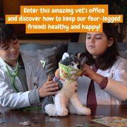 PRIMUL MEU KIT DE VETERINAR VIVHT052330