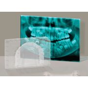 SET EDUCATIONAL LA DENTIST VIVHT052316