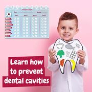 SET EDUCATIONAL LA DENTIST VIVHT052316