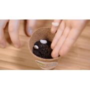 SET EXPERIMENTE ECOLOGICE VIVHT052354