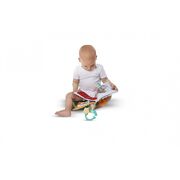 Primul meu album foto girafa sophie vu230840