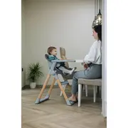 Scaun de masa 2 in 1, FreeON, Flexi Grow, Transformabil, Pliabil, Contine 2 accesorii, 0 luni +, Gri BYN85192