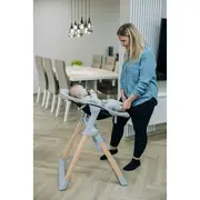 Scaun de masa 2 in 1, FreeON, Flexi Grow, Transformabil, Pliabil, Contine 2 accesorii, 0 luni +, Gri BYN85192