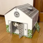 Casuta pentru pisici, din carton, alb verde