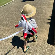 Perna bebelus tip rucsac, ham 3 in 1 ,   protectie cap si spate cu design avion