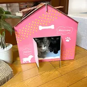 Casuta pentru pisici, din carton, roz